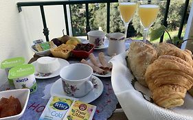 Deluxe Studio com terraço e varanda privada - 'Casinha da Amoreira' Guesthouse