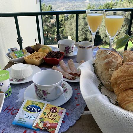 Deluxe Studio com terraço e varanda privada - 'Casinha da Amoreira' Guesthouse Coïmbre Extérieur photo