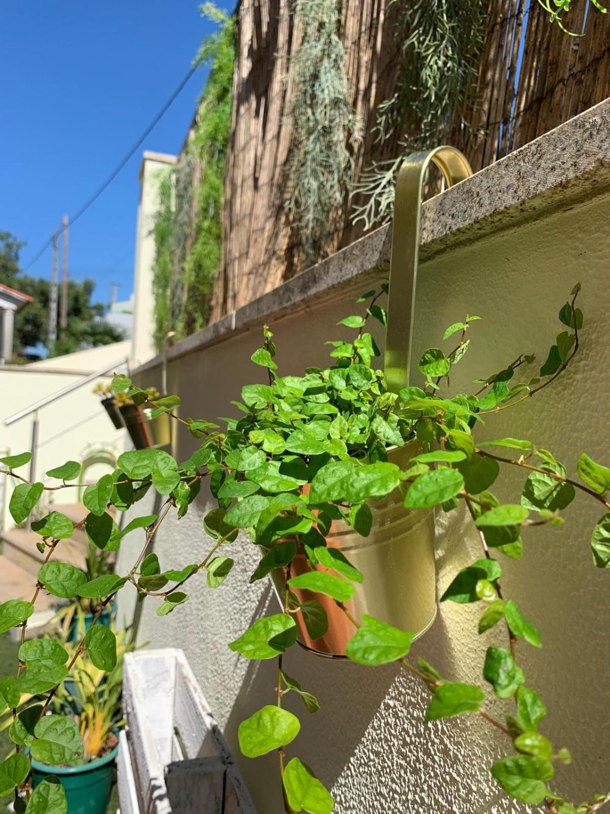 Deluxe Studio com terraço e varanda privada - 'Casinha da Amoreira' Guesthouse Coïmbre Extérieur photo